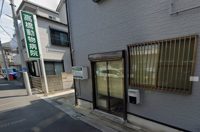 ロイヤルクレストのその他|高橋動物病院