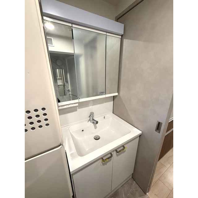ＳＯＬＡＳＩＡ　ｒｅｓｉｄｅｎｃｅ門前仲町の洗面所