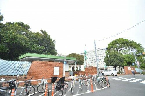 プランドールのその他