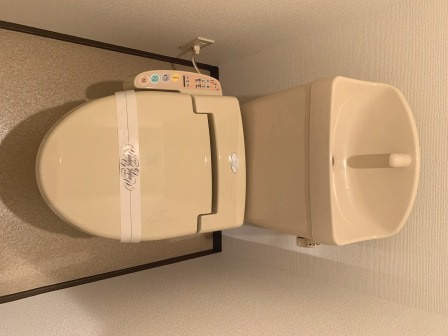 サムティ阿波座Lussoのトイレ