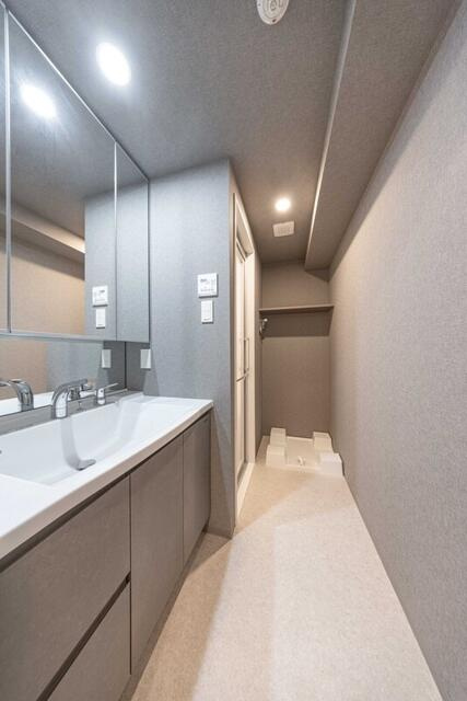 Ｓ－ＲＥＳＩＤＥＮＣＥ亀戸ｂａｌｍ(エスレジデンスカメイドバーム)の洗面所
