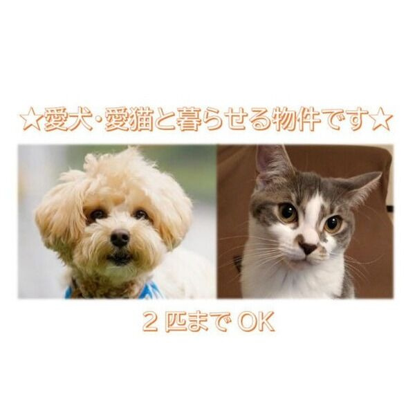エスグランデ中崎町のその他