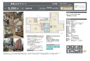 南青山セピアコート　仲介手数料無料＋50万円現金プレゼント中の画像