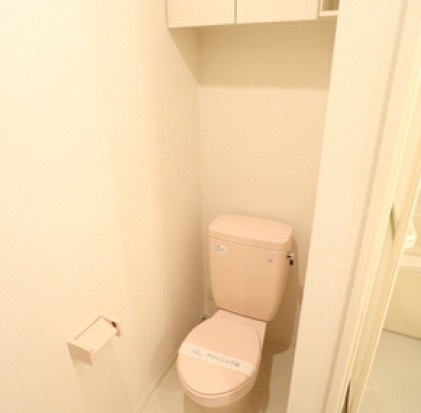 SHAMAISON華みずき3号館のトイレ