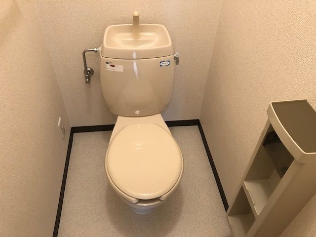 ハイツ氏丸のトイレ