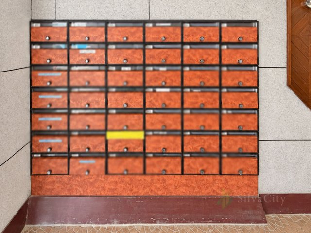 学芸大ダイヤモンドマンションの設備|エントランス内に設けられた集合郵便受け。外出・帰宅時に郵便物を確認できます。