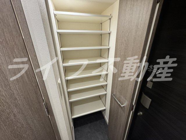 プレサンス森ノ宮　THEゲートの収納|たっぷりとした収納スペースです