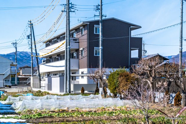 プレジール高田の外観