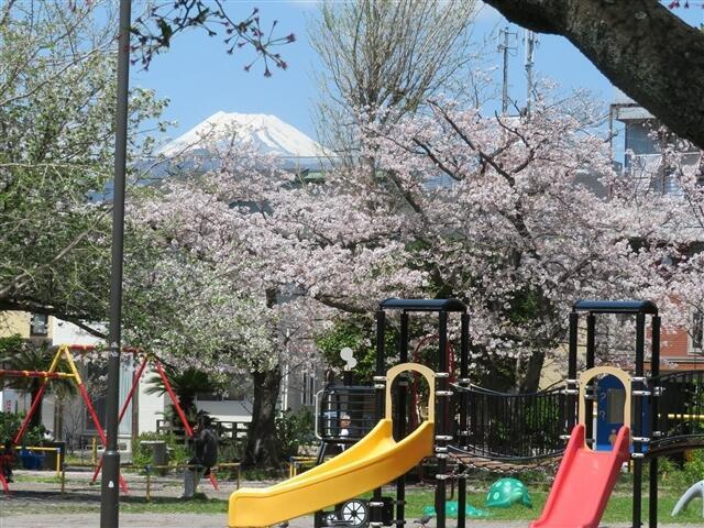 沼津市双葉町の売地