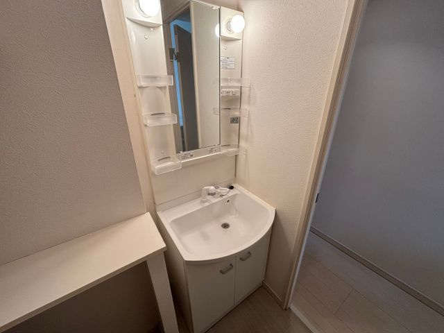 福岡市南区南大橋１丁目のアパートの洗面所