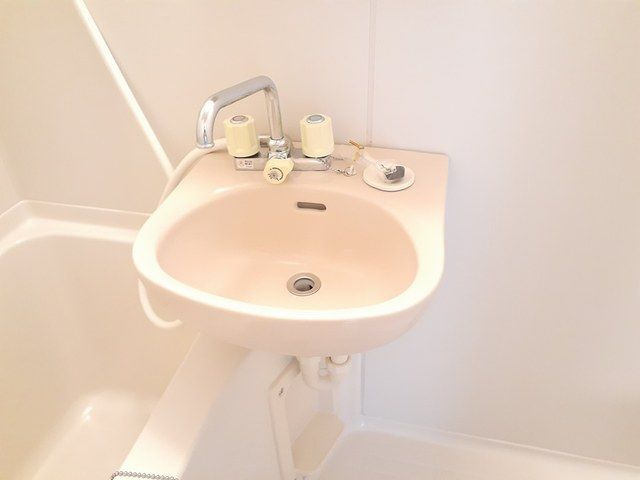パピヨン青木の洗面所