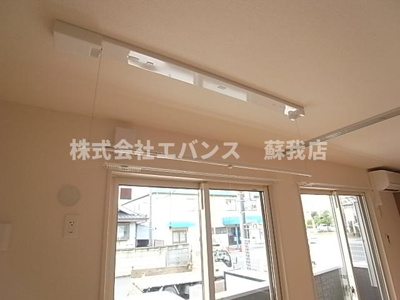  | フォレスタレザイア
