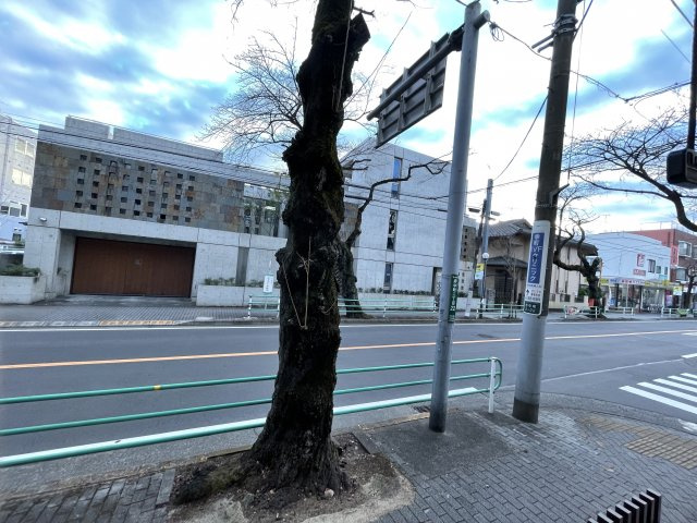 アクアモアナの展望