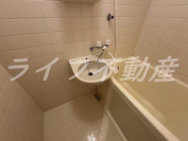 ボングービルの洗面所|スペースが確保できる洗面所です