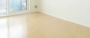 ラプラス光が丘 の間取り