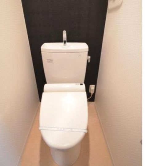 ライオンズマンション墨田のトイレ|清潔感のあるトイレです