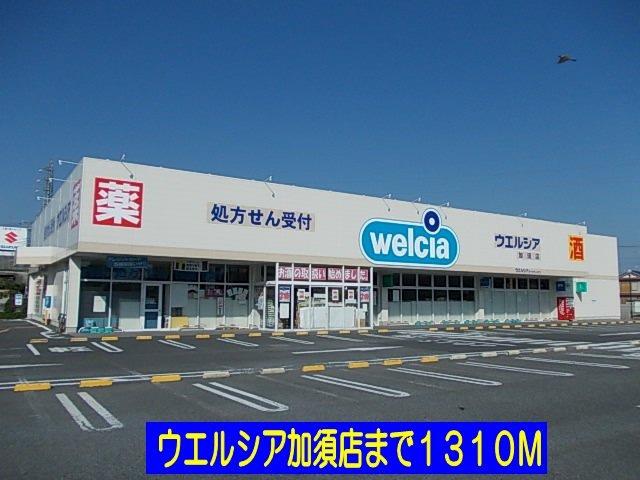 ラフィネⅡの周辺|ウエルシア加須店まで1310m