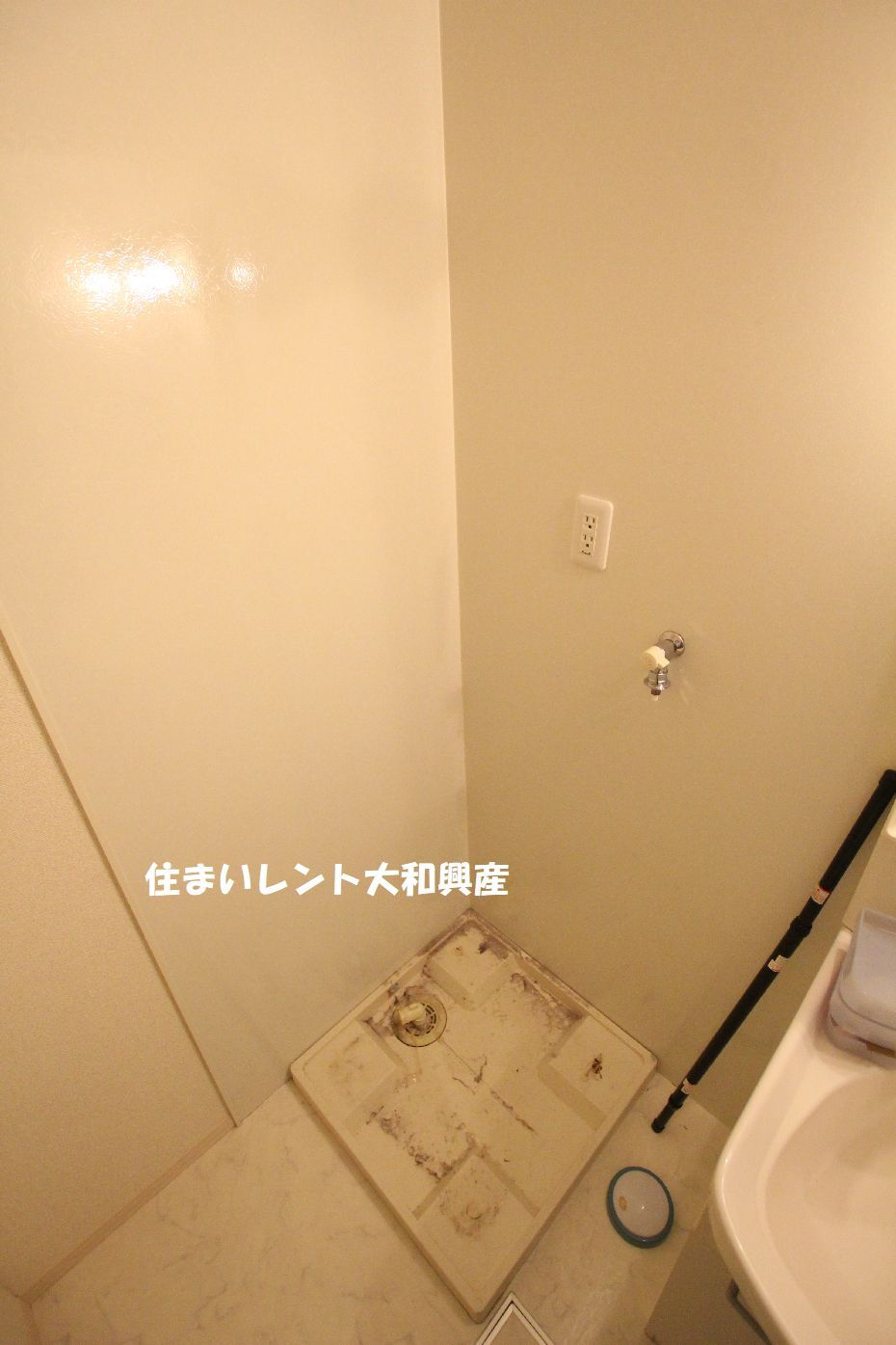 シャルマンのその他