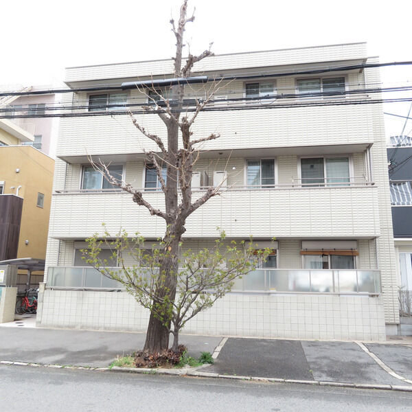 Cozysailの外観