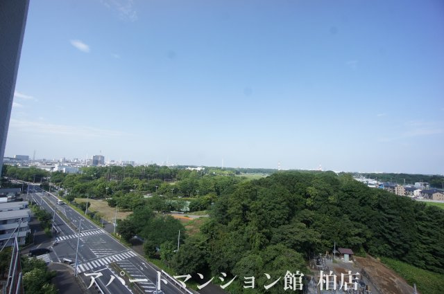 セントラルパーク　ウッズの展望