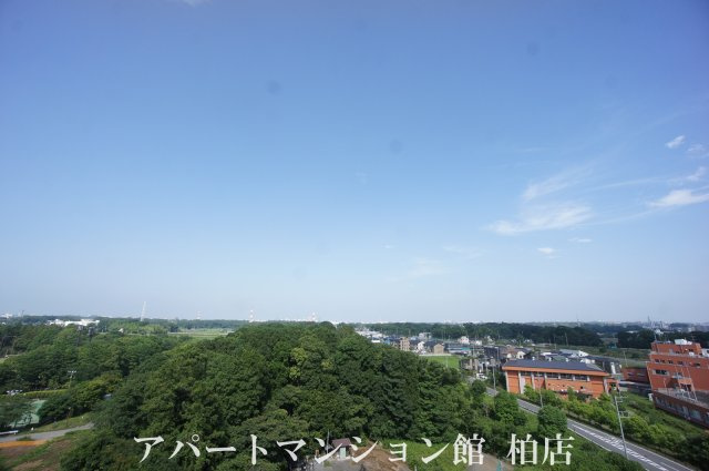 セントラルパーク　ウッズの展望