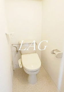 【トイレ】 | ハイツカメリヤ | トイレです。