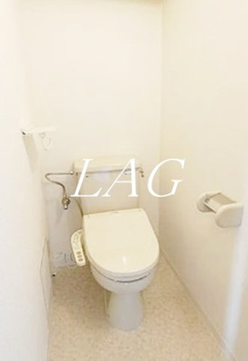 【トイレ】 | ハイツカメリヤ | トイレです。