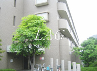 Raffine　壹番館の画像