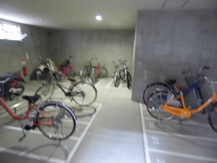 【その他共用部分】プラザセイシェル 