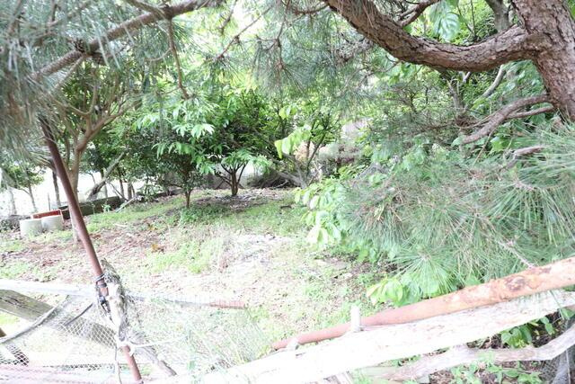 沼津市下香貫林ノ下の売地
