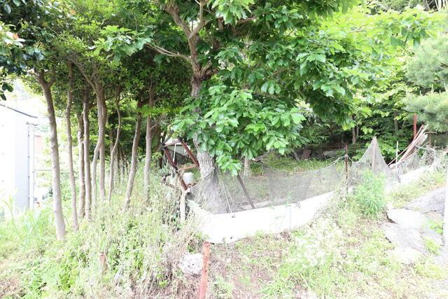 沼津市下香貫林ノ下の売地