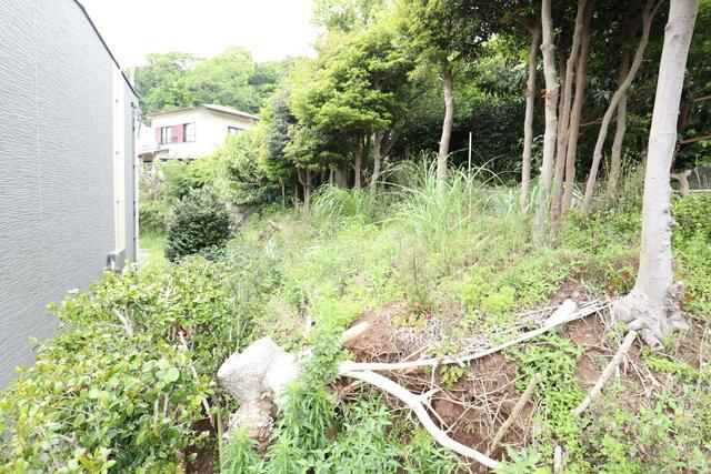 沼津市下香貫林ノ下の売地