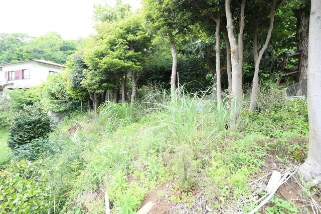 沼津市下香貫林ノ下の売地