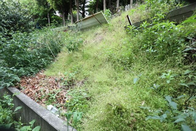 沼津市下香貫林ノ下の売地