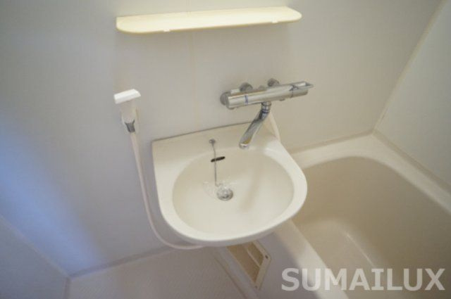 熊本市中央区大江１丁目の賃貸マンションの洗面所