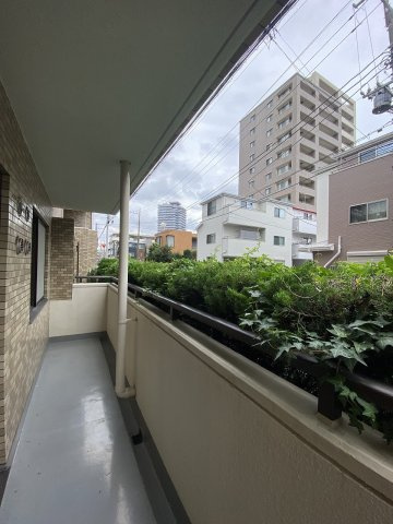 川口原町第２ローヤルコーポのバルコニー|広々としたバルコニー面積17.00㎡のゆとりある屋外空間！日当たりや風通しに優れ、洗濯物を干すだけでなく、観葉植物を楽しんだりリフレッシュ空間としても活用できる開放的なプライベートスペースです。