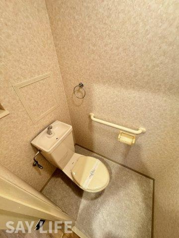 エクセレンス青山のトイレ