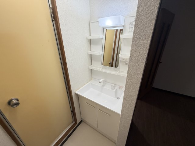 高井田西ハイツの洗面所