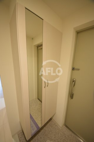 エミネンス堂ヶ芝　桃陽小学校区の収納|エミネンス堂ヶ芝　姿見付きシューズボックス