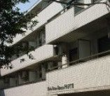 日興パレス新宿ＰＡＲＴⅢのその他