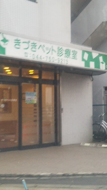 サンライズヒルズのその他|きづきペット診療室