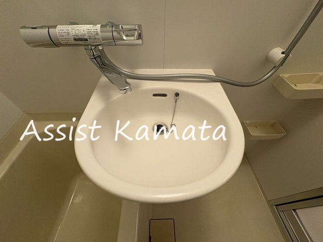 ライト・ハーティッド田園調布の洗面所