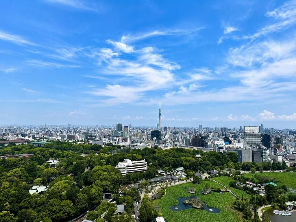ルネッサンスタワー上野池之端の展望