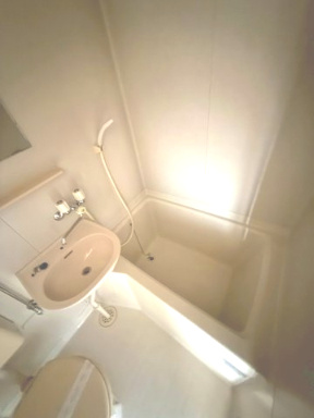 シティガーデン鳴門の洗面所