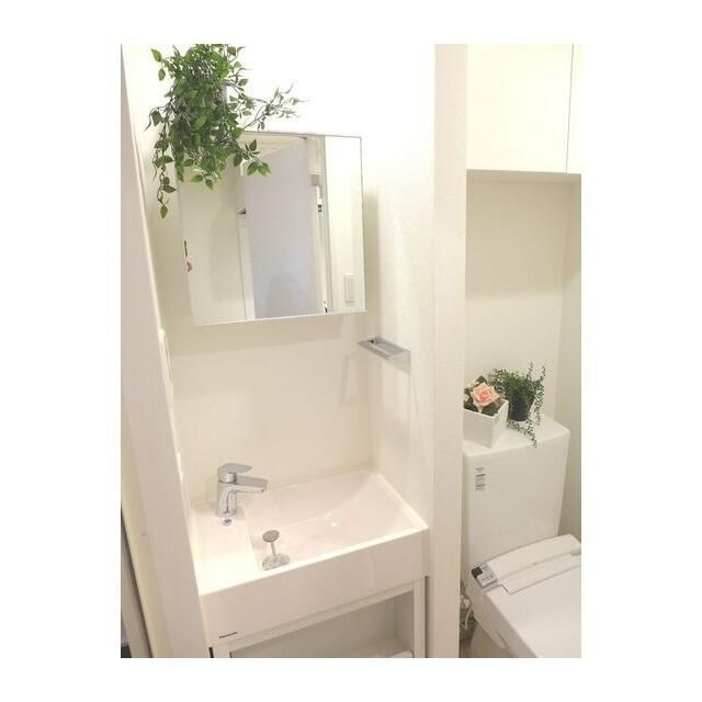 Ｂｅｖｅｒｌｙ　Ｈｏｍｅｓ　下赤塚の洗面所