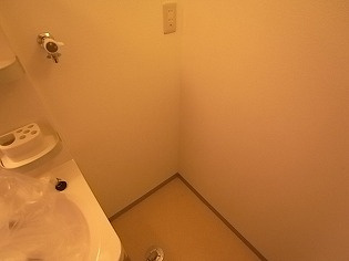 神戸市中央区山本通３丁目の賃貸マンションの洗面所