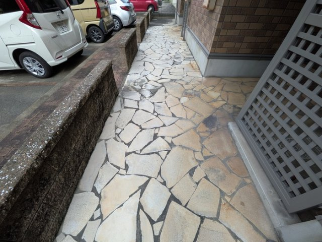 【その他】プリマベーラ