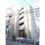 ワイズフォレストの画像