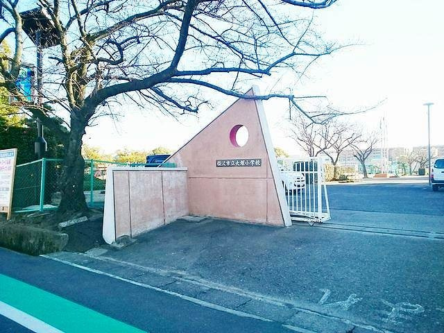 ハナミズキの周辺|稲沢市立　大塚小学校まで1200m