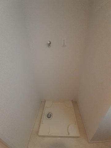 シャルフィーのその他